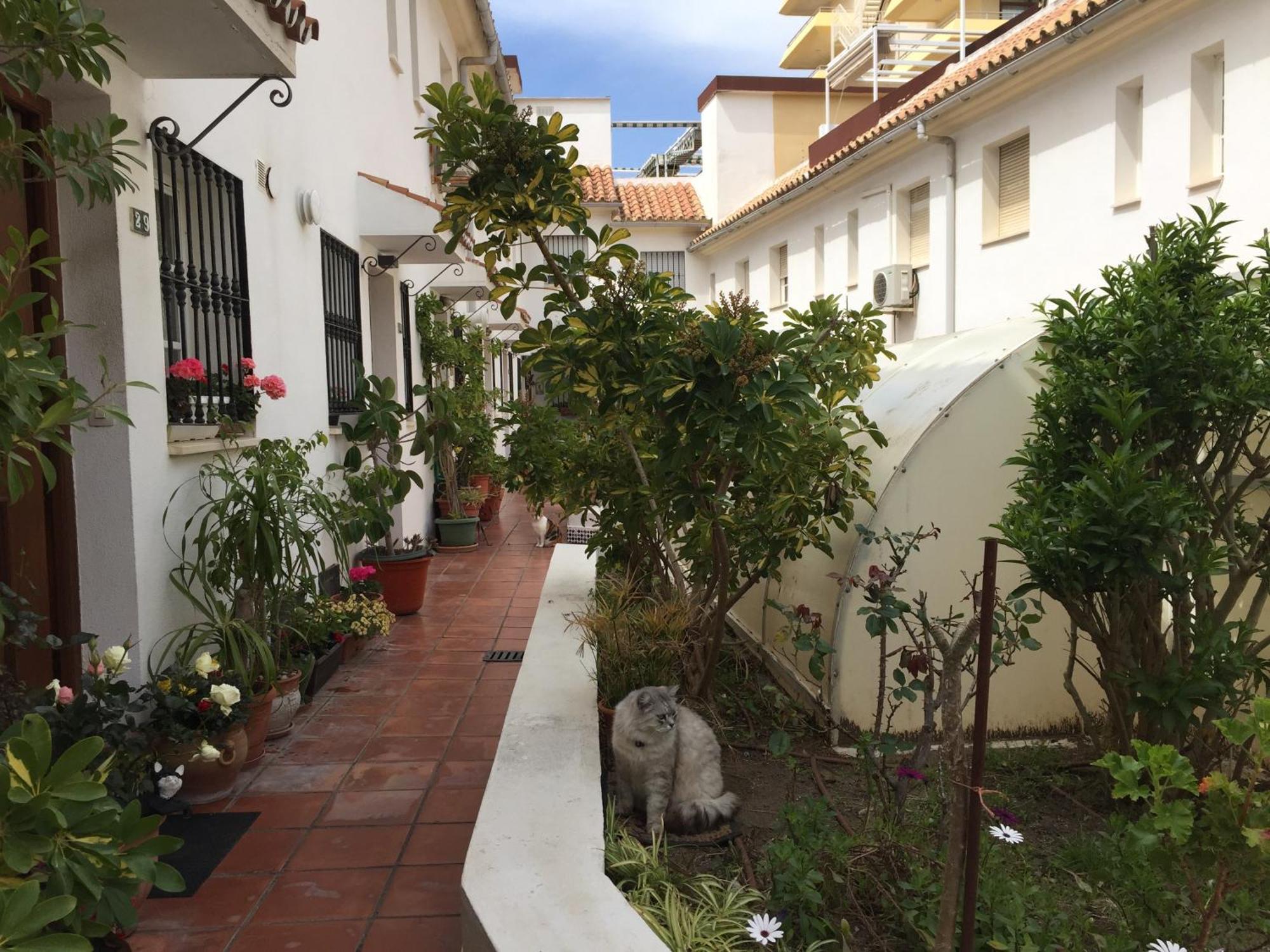 El Cortijuelo. Magnificent Triplex Terraced House With Rooftop Of 18M2, Overlooking The Sea. Parking Torremolinos Extérieur photo